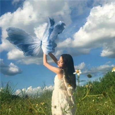 红的研究
